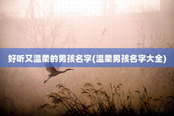 好听又温柔的男孩名字(温柔男孩名字大全)