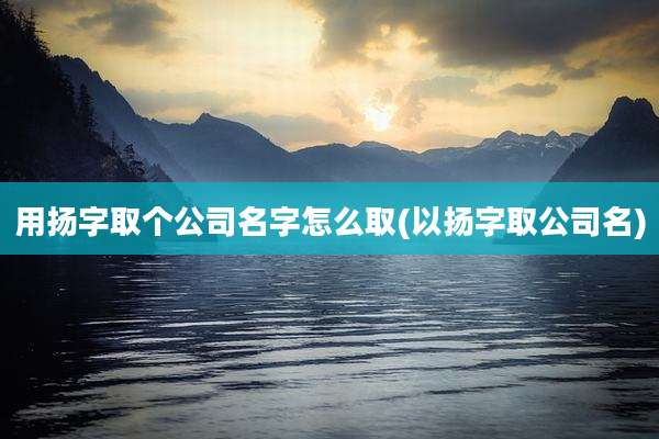 用扬字取个公司名字怎么取(以扬字取公司名)