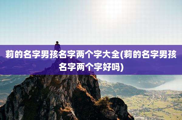 莉的名字男孩名字两个字大全(莉的名字男孩名字两个字好吗)