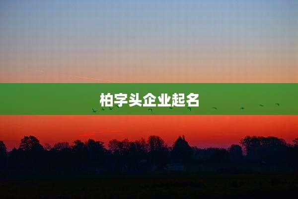 柏字头企业起名