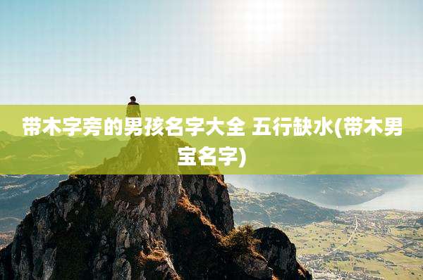 带木字旁的男孩名字大全 五行缺水(带木男宝名字)