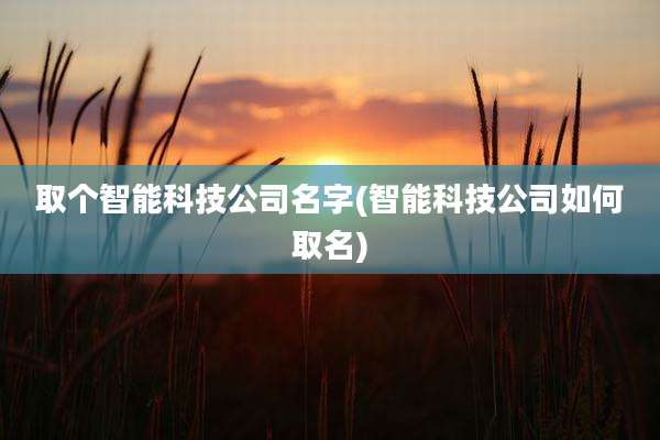 取个智能科技公司名字(智能科技公司如何取名)
