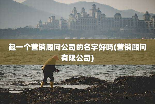 起一个营销顾问公司的名字好吗(营销顾问有限公司)