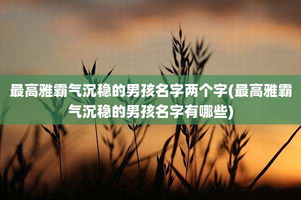 最高雅霸气沉稳的男孩名字两个字(最高雅霸气沉稳的男孩名字有哪些)