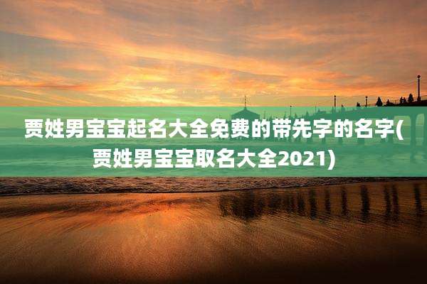 贾姓男宝宝起名大全免费的带先字的名字(贾姓男宝宝取名大全2021)