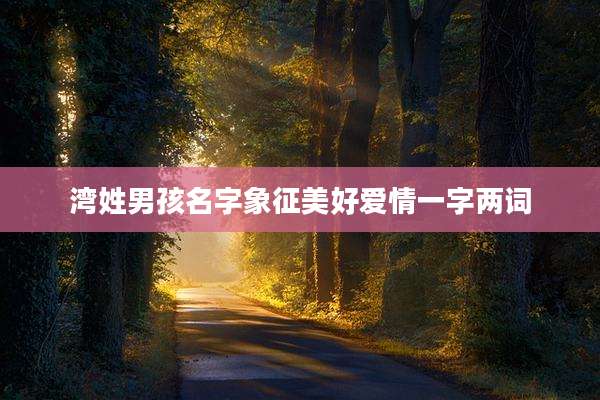 湾姓男孩名字象征美好爱情一字两词