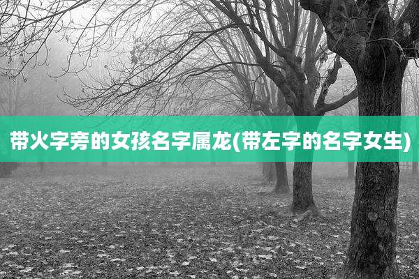 带火字旁的女孩名字属龙(带左字的名字女生)