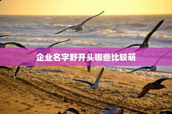 企业名字野开头哪些比较萌