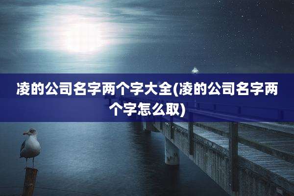 凌的公司名字两个字大全(凌的公司名字两个字怎么取)