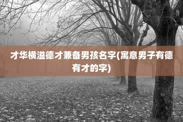 才华横溢德才兼备男孩名字(寓意男子有德有才的字)