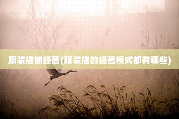 服装店铺经营(服装店的经营模式都有哪些)