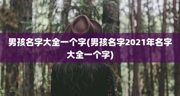 男孩名字大全一个字(男孩名字2021年名字大全一个字)