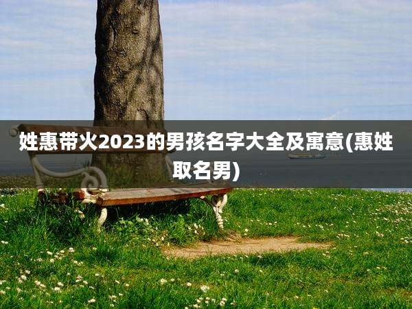 姓惠带火2023的男孩名字大全及寓意(惠姓取名男)