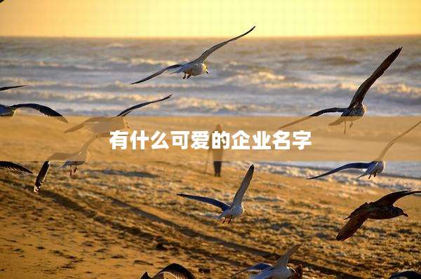 有什么可爱的企业名字