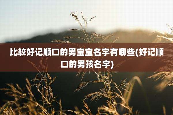 比较好记顺口的男宝宝名字有哪些(好记顺口的男孩名字)
