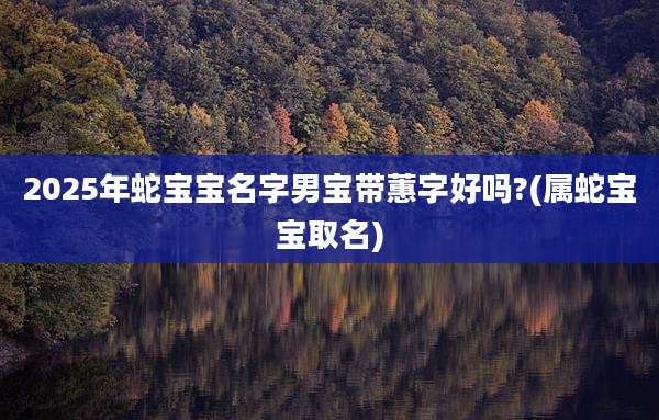 2025年蛇宝宝名字男宝带蕙字好吗?(属蛇宝宝取名)