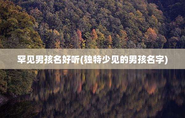 罕见男孩名好听(独特少见的男孩名字)
