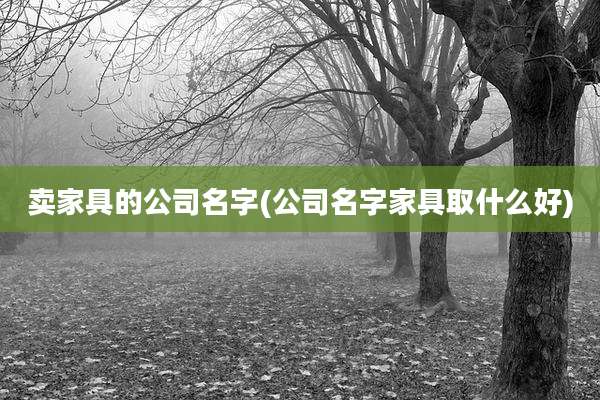 卖家具的公司名字(公司名字家具取什么好)