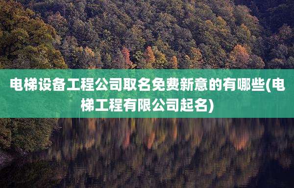 电梯设备工程公司取名免费新意的有哪些(电梯工程有限公司起名)