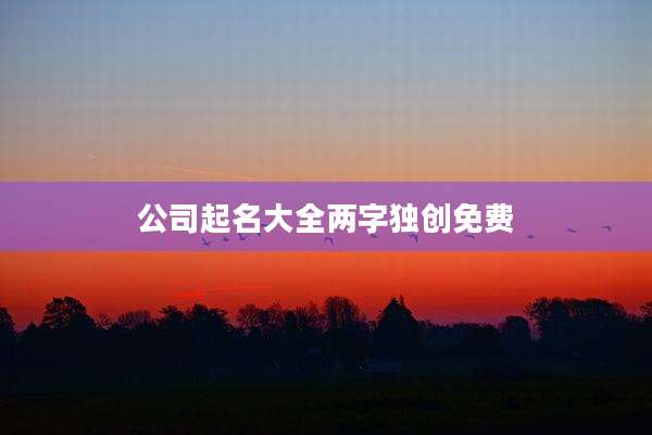 公司起名大全两字独创免费