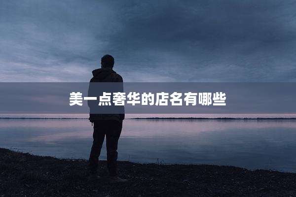 美一点奢华的店名有哪些