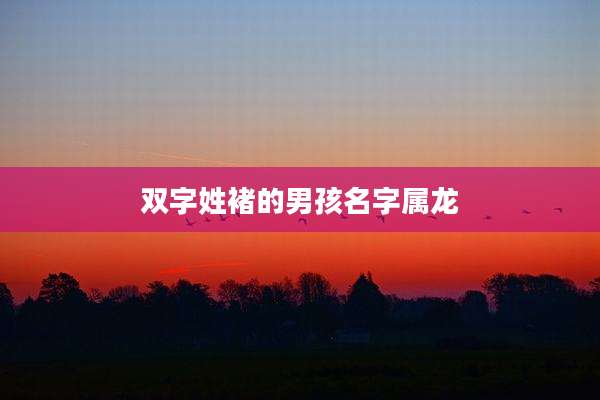 双字姓褚的男孩名字属龙
