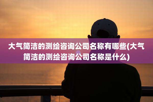 大气简洁的测绘咨询公司名称有哪些(大气简洁的测绘咨询公司名称是什么)