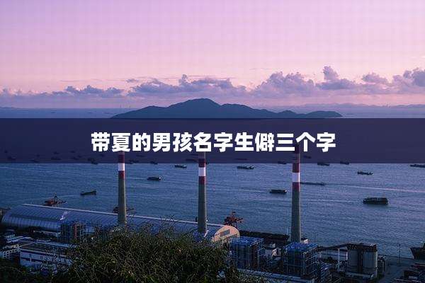 带夏的男孩名字生僻三个字