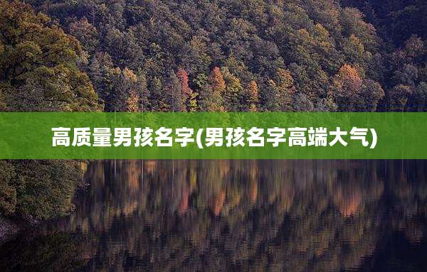 高质量男孩名字(男孩名字高端大气)