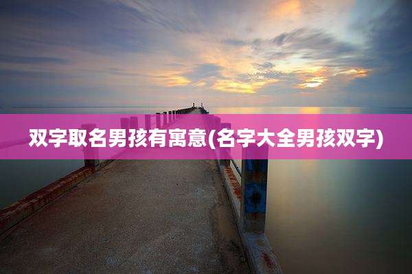 双字取名男孩有寓意(名字大全男孩双字)