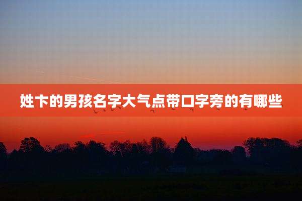 姓卞的男孩名字大气点带口字旁的有哪些