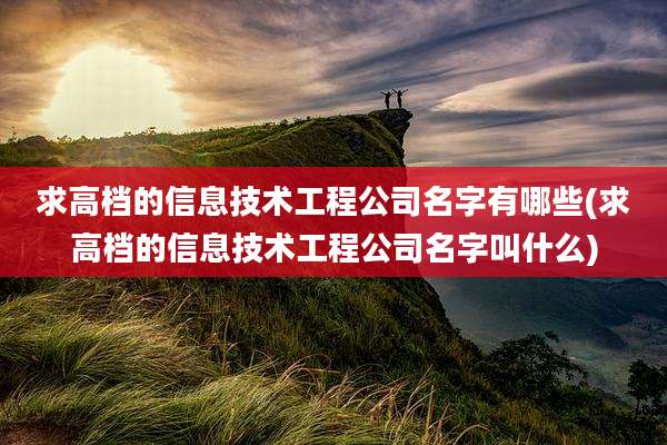求高档的信息技术工程公司名字有哪些(求高档的信息技术工程公司名字叫什么)