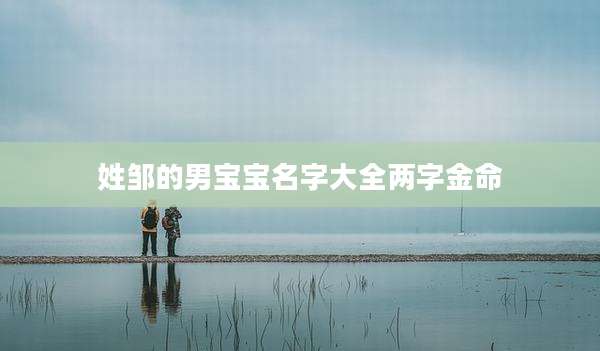 姓邹的男宝宝名字大全两字金命