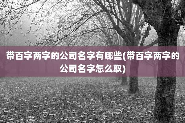 带百字两字的公司名字有哪些(带百字两字的公司名字怎么取)