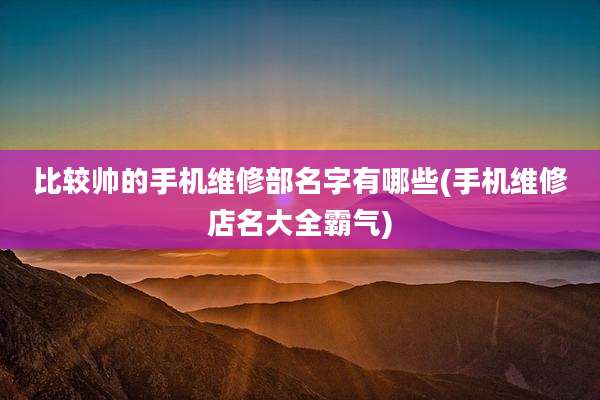 比较帅的手机维修部名字有哪些(手机维修店名大全霸气)