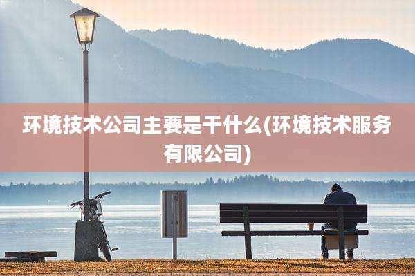环境技术公司主要是干什么(环境技术服务有限公司)
