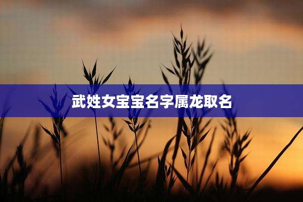 武姓女宝宝名字属龙取名