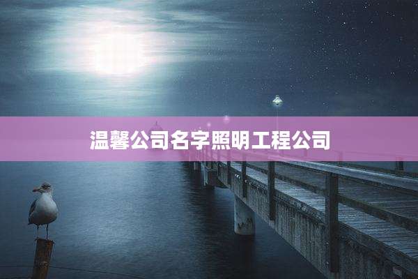 温馨公司名字照明工程公司