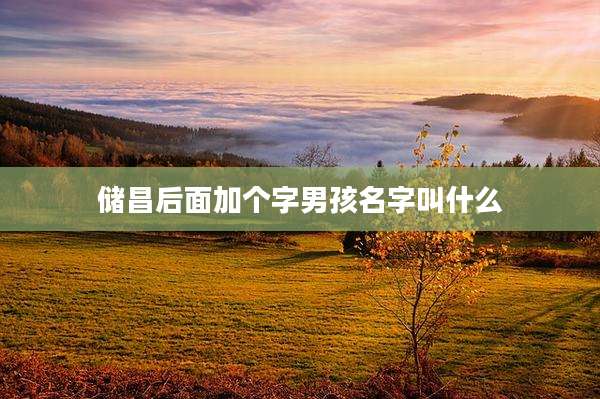 储昌后面加个字男孩名字叫什么