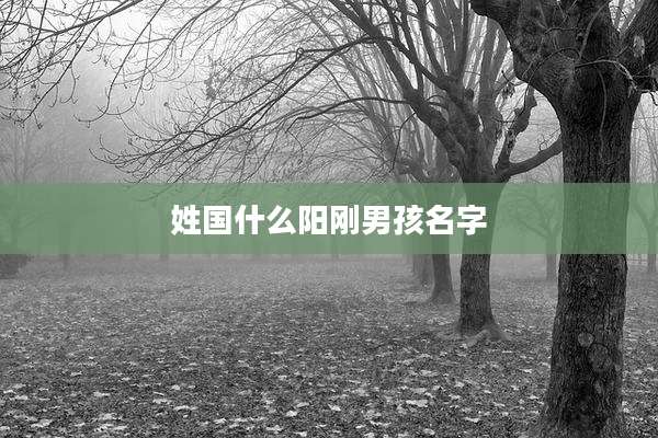姓国什么阳刚男孩名字