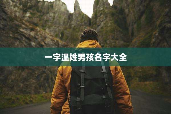 一字温姓男孩名字大全