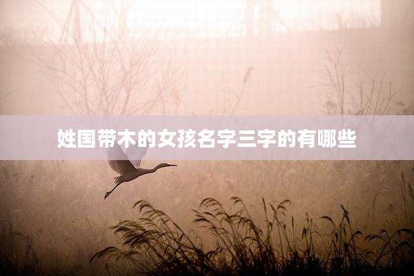 姓国带木的女孩名字三字的有哪些