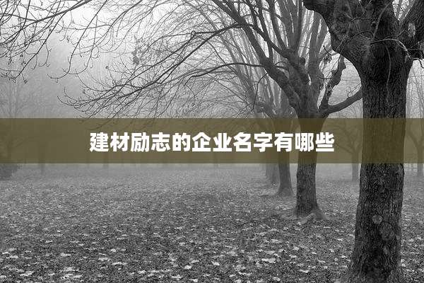 建材励志的企业名字有哪些