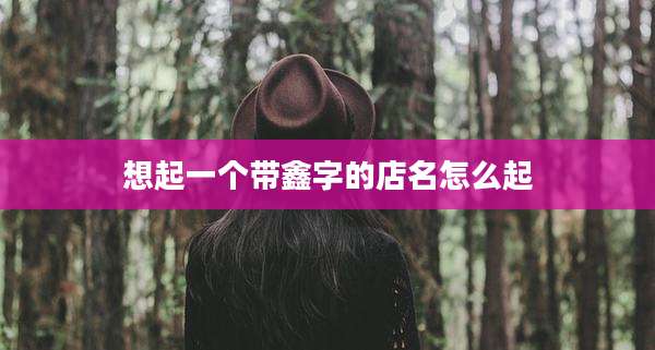 想起一个带鑫字的店名怎么起