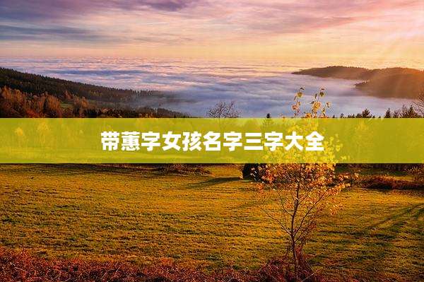 带蕙字女孩名字三字大全