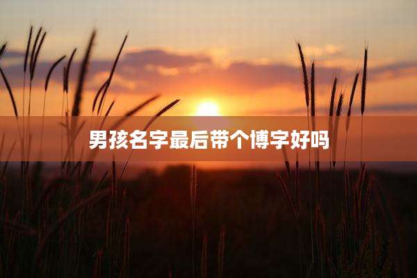 男孩名字最后带个博字好吗