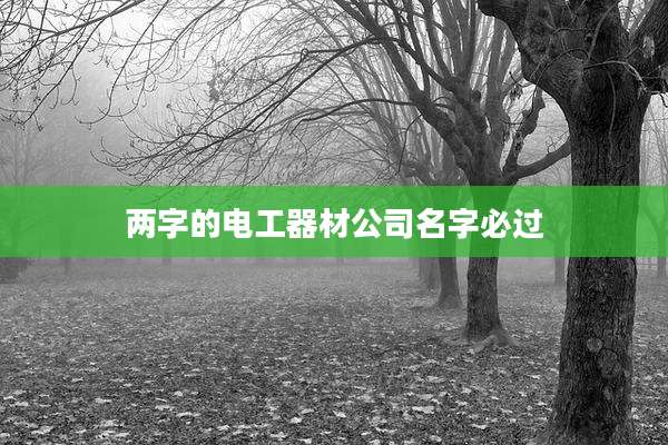两字的电工器材公司名字必过