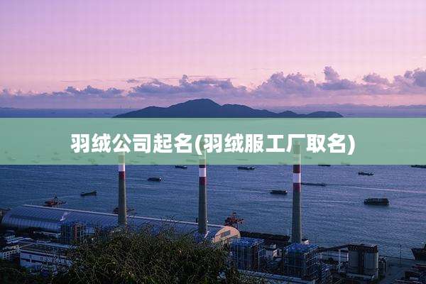 羽绒公司起名(羽绒服工厂取名)