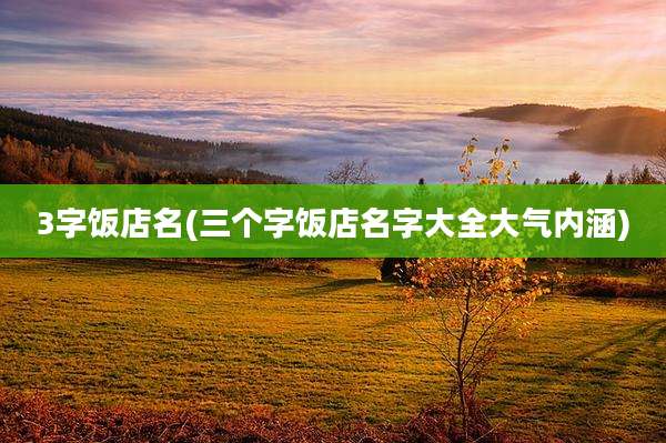 3字饭店名(三个字饭店名字大全大气内涵)