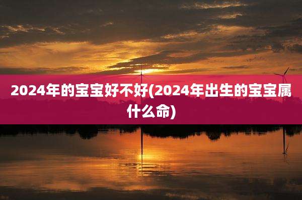 2024年的宝宝好不好(2024年出生的宝宝属什么命)